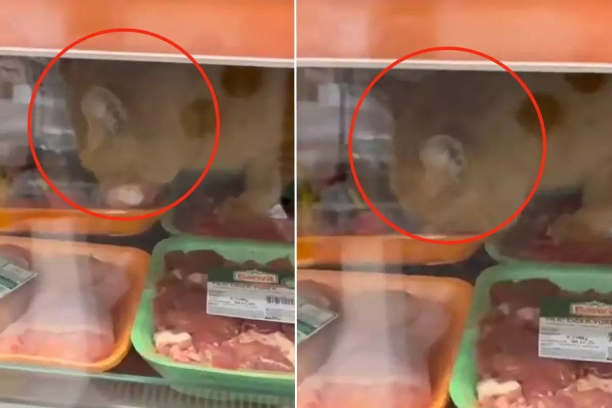 Zincir markette mide bulandıran skandal! Gören hemen kayda girdi!