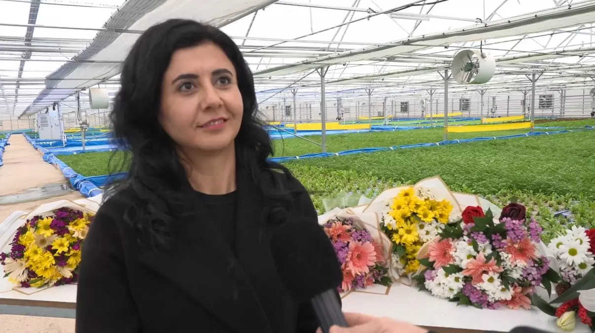 Haymana\'da Termal Su ile Çiçek Üretimi Projesi