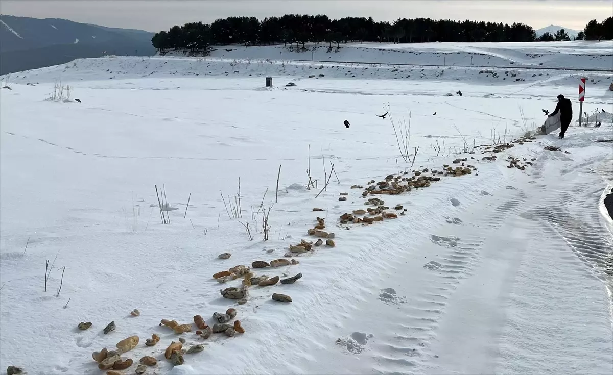 Sarıkamış\'ta Doğaya Yiyecek Bırakıldı