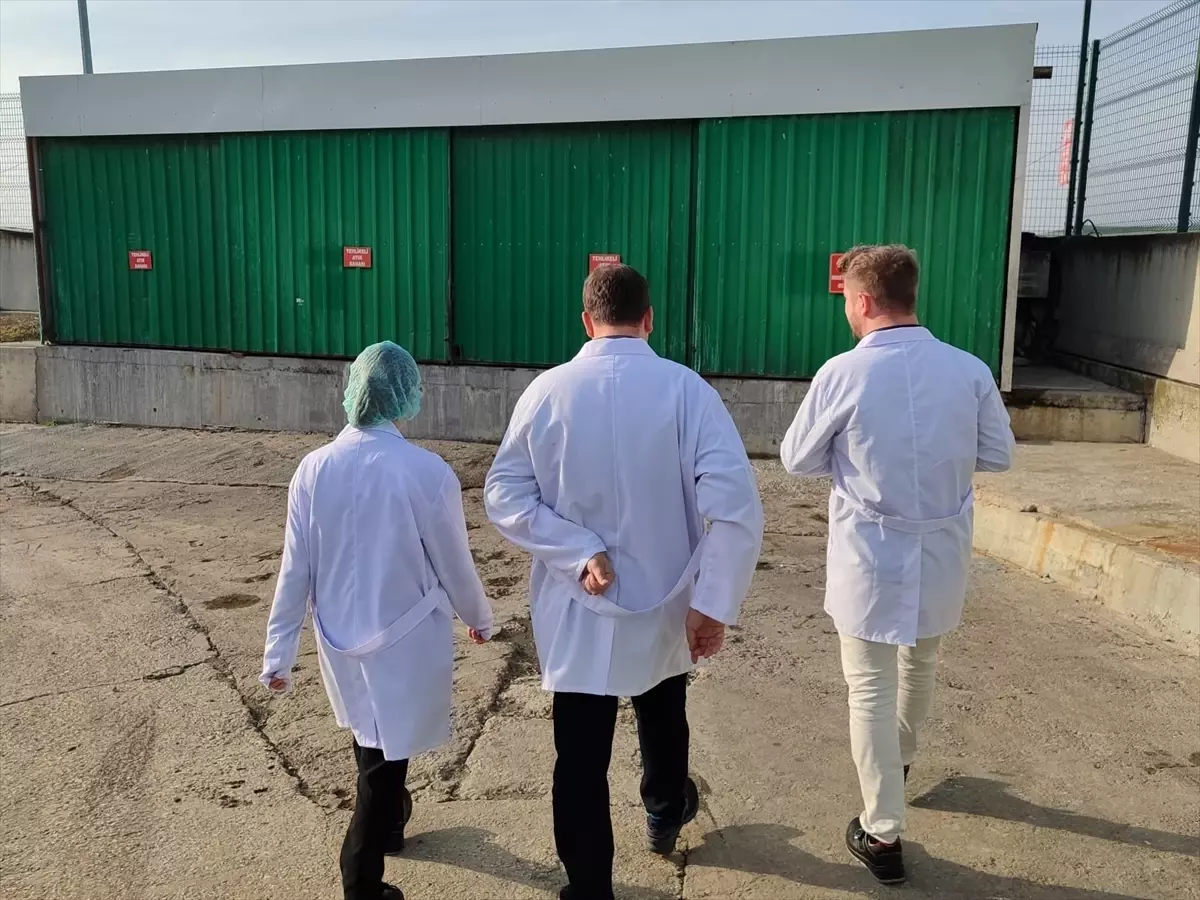 Babaeski\'de 385 Arı Kovanı Dağıtıldı