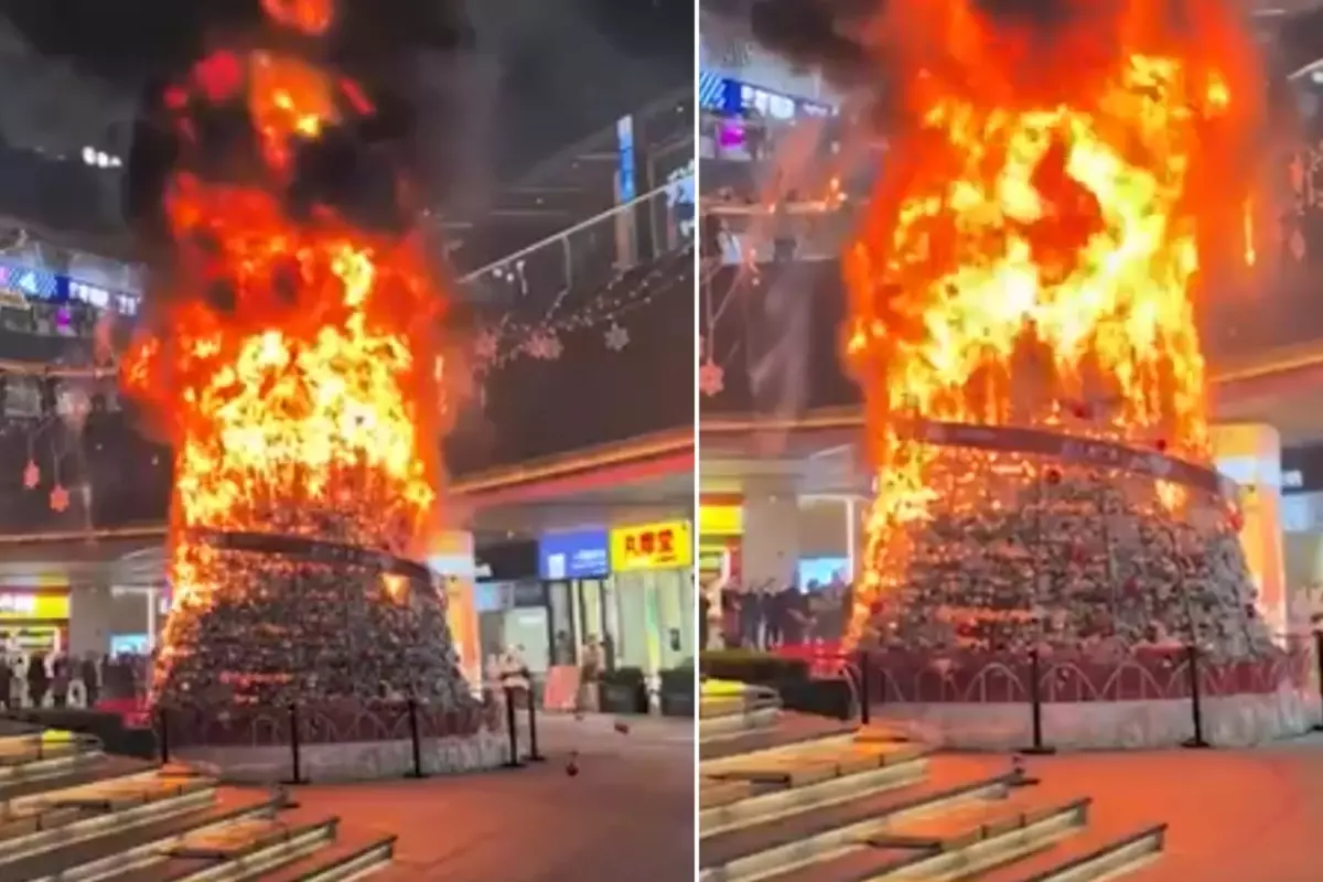 "Müslümanlar Noel ağacını ateşe verdi" dendi, gerçek çok başka çıktı