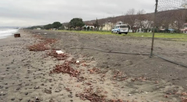 Sahile vuran gizemli sandık ekipleri alarma geçirdi! Üzerindeki yazılar incelenecek