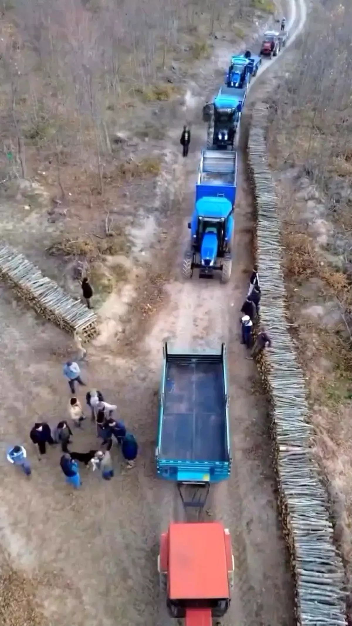 Boyabat\'ta Kış Hazırlıkları İçin Odun Dağıtımı