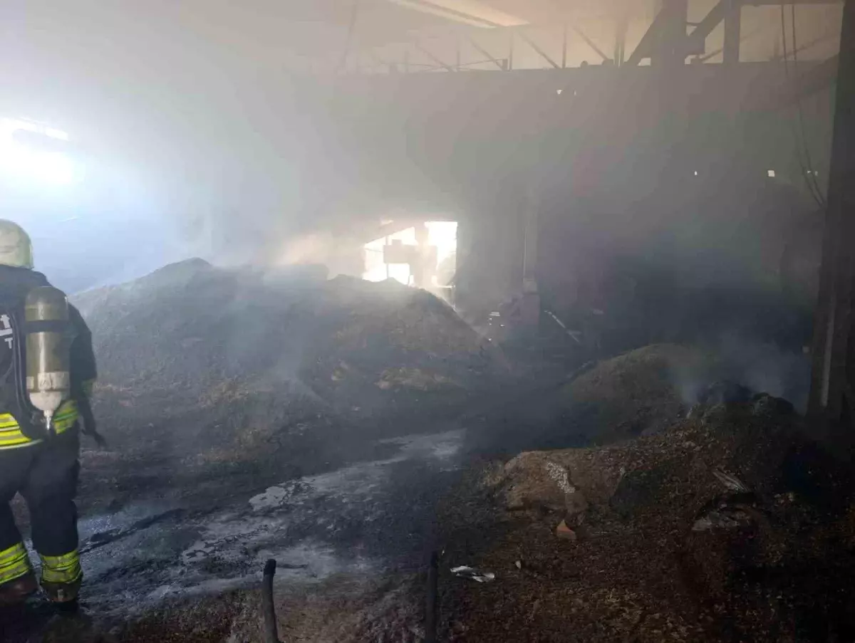 Kırklareli\'nde Palet Fabrikası Yangını