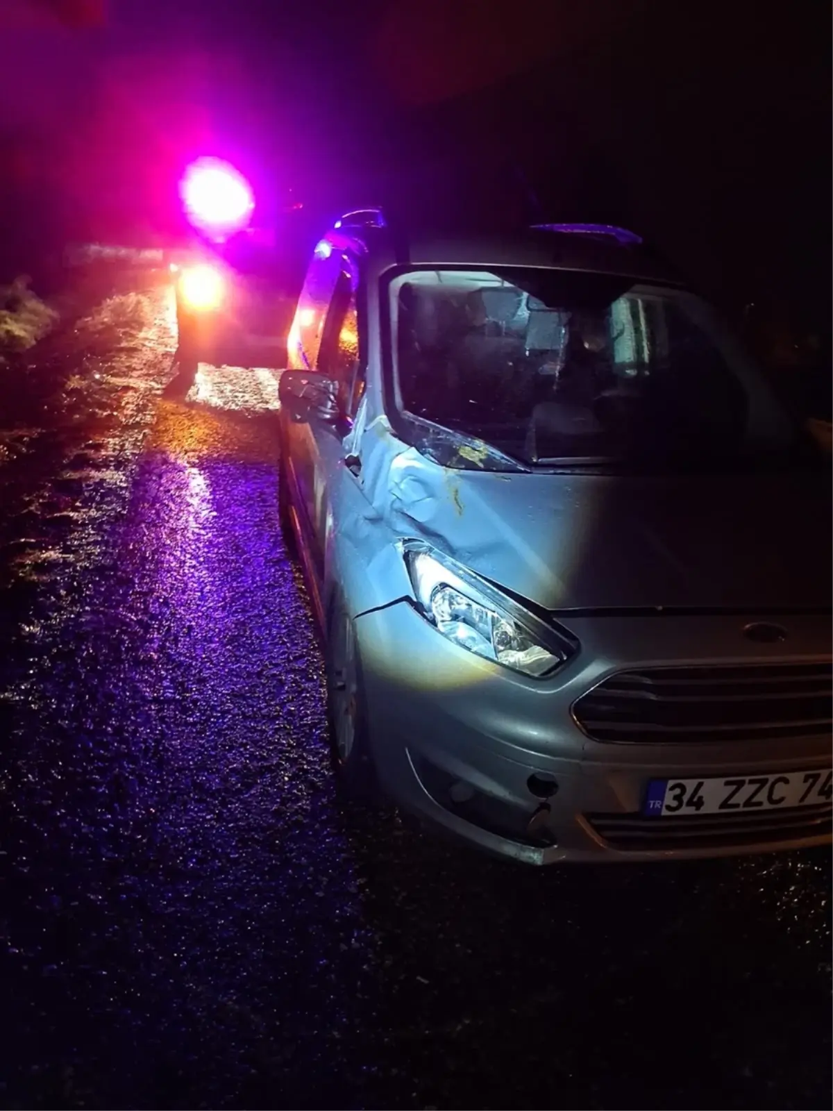 Yalova\'da Araç Büyükbaş Hayvana Çarptı