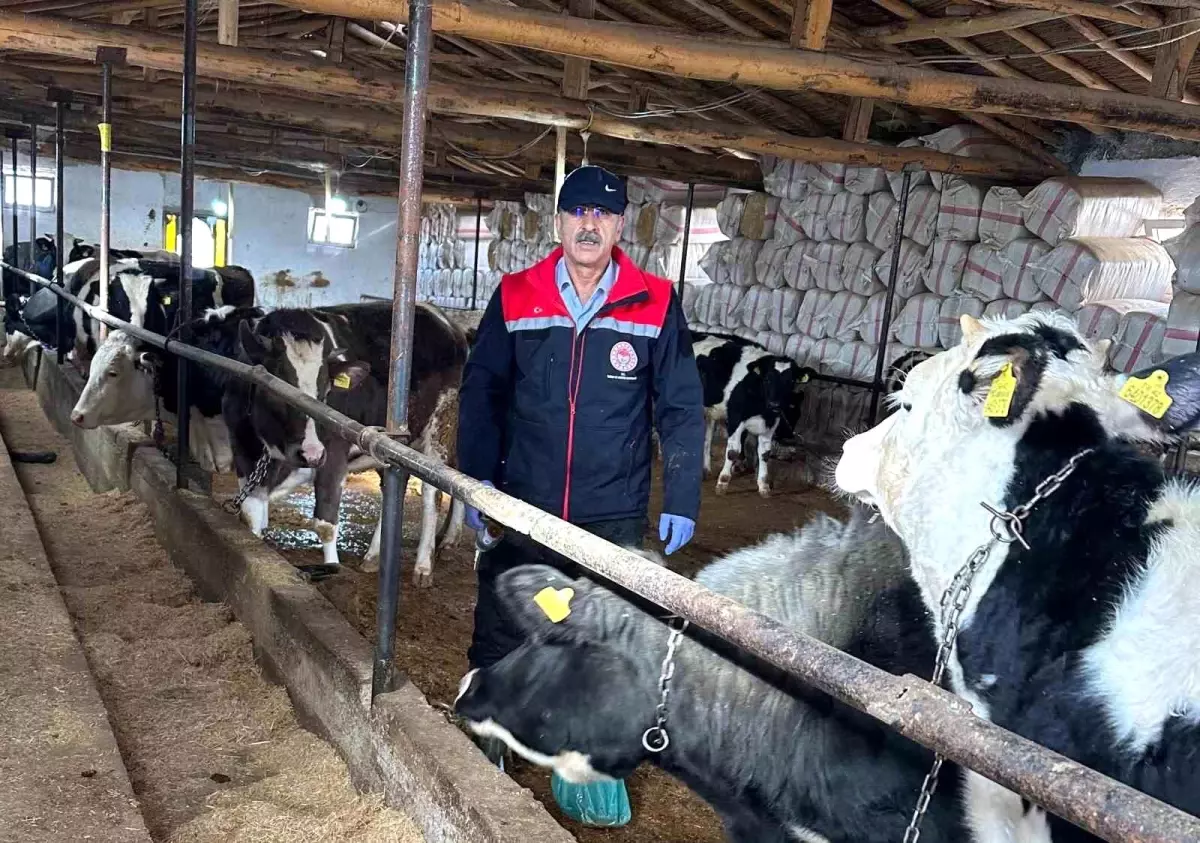 Beyşehir\'de Hayvan Sağlığı Çalışmaları Sürüyor