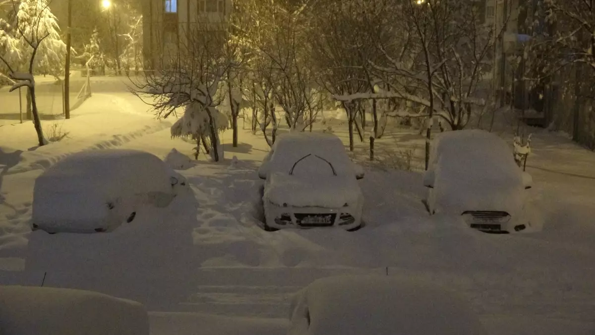 Bitlis\'te Kar Yağışı Hayatı Olumsuz Etkiliyor