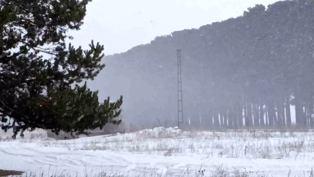 Kars\'ta 27 Köy Yolu Kapatıldı