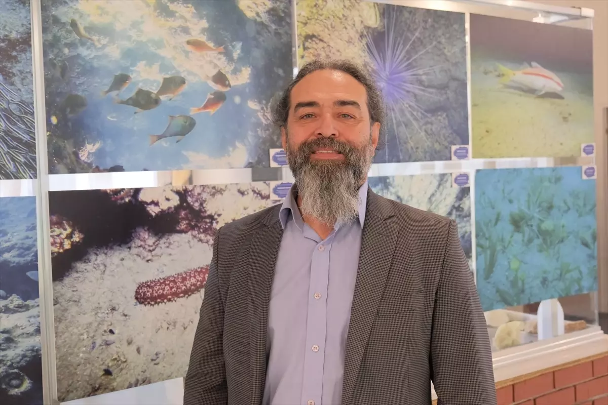 Mersin\'de Nadir Yakalanan 25 Kilogramlık Siyah Dümen Balığı