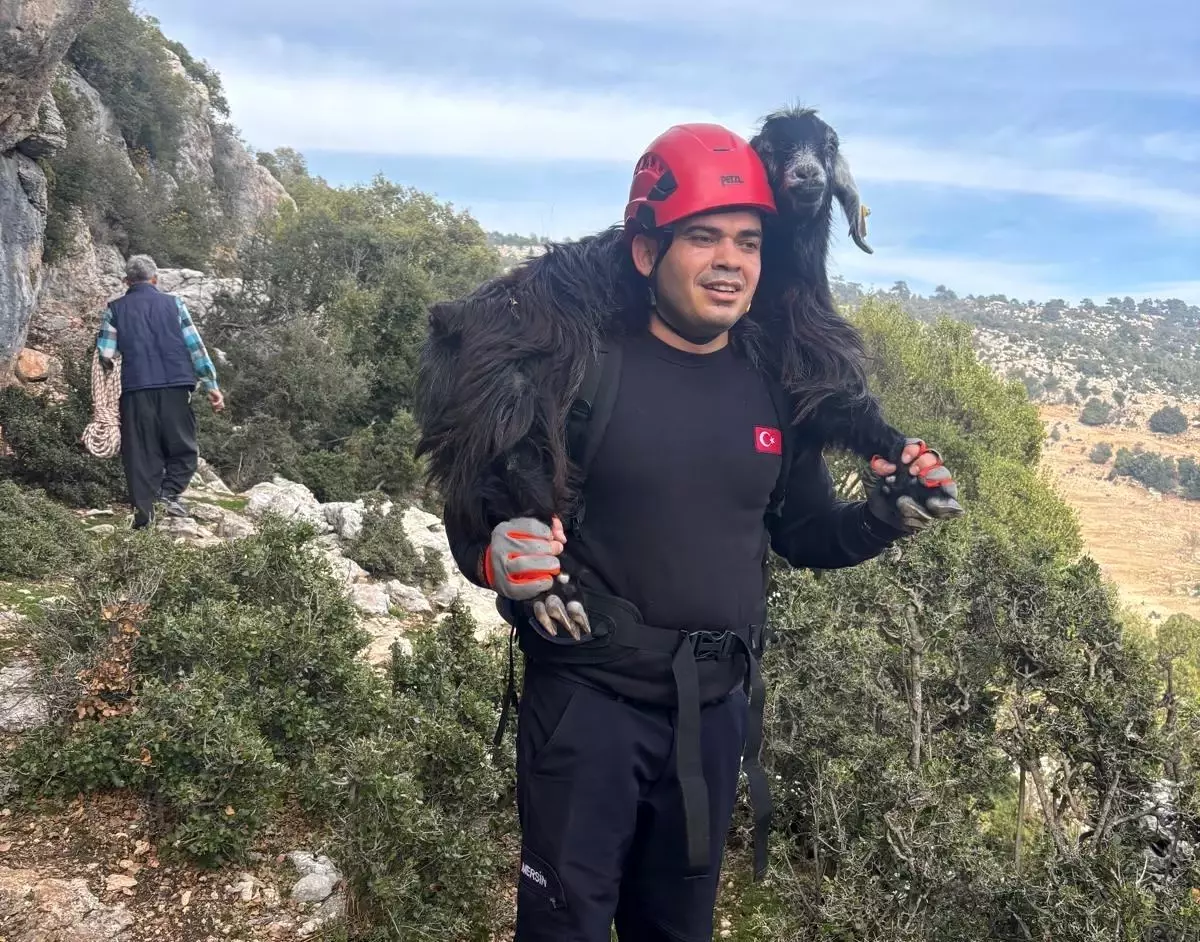 Mersin\'de kayalıklarda mahsur kalan 2 keçi itfaiye ekiplerince kurtarıldı