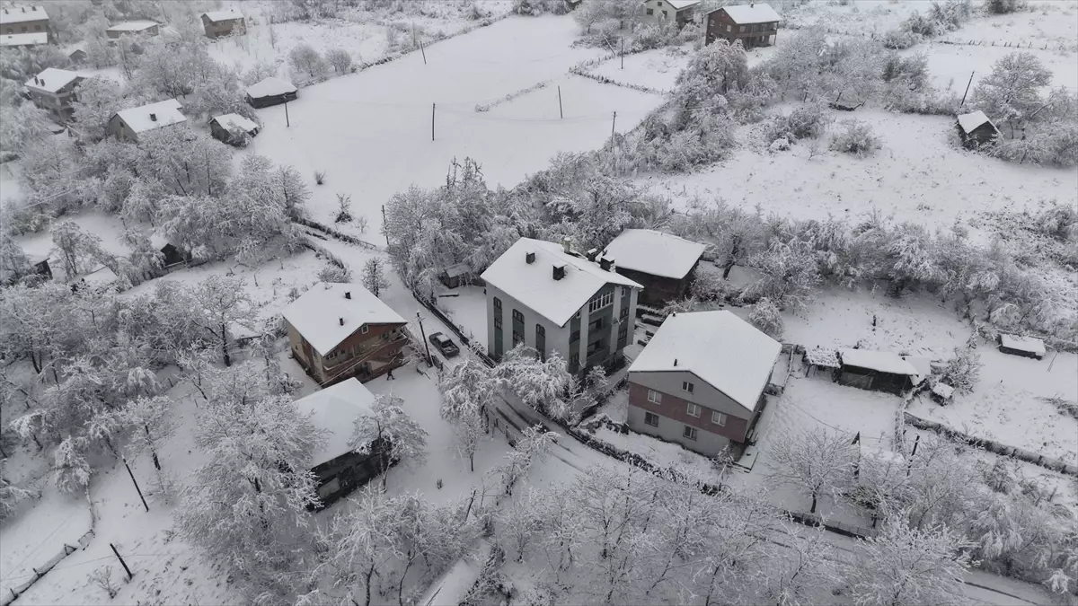 Sinop ve Tokat\'ta 59 Yerleşim Yeri Karla Kapandı