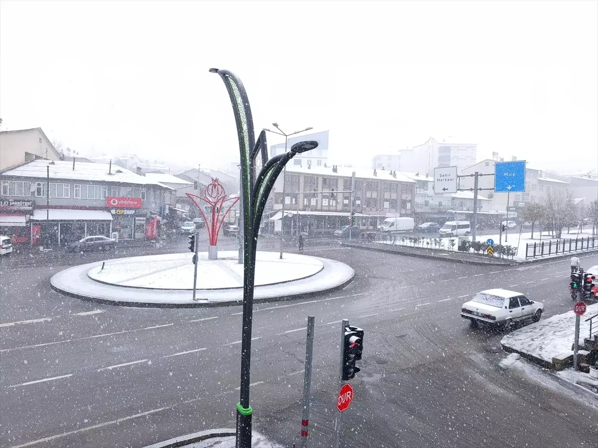 Solhan\'da Kar Yağışı Etkili Oldu