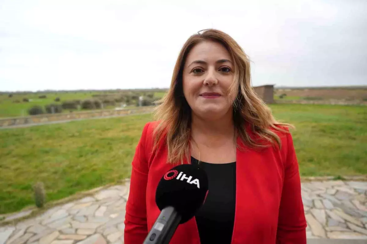 Türkiye\'de Manda Popülasyonu Düşüyor