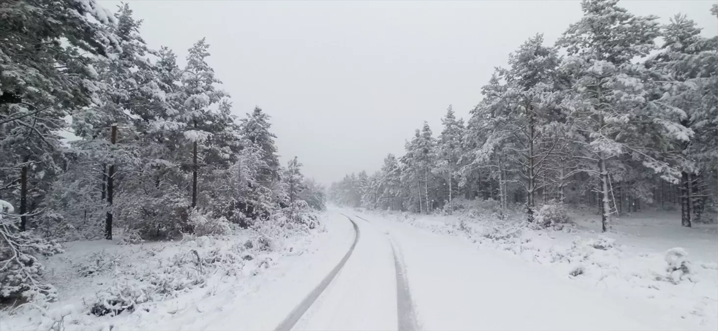 Tokat\'ta Kar Yağışı Etkili Oldu