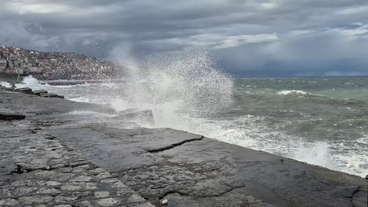 Zonguldak\'ta Çınar Ağacı Devrildi
