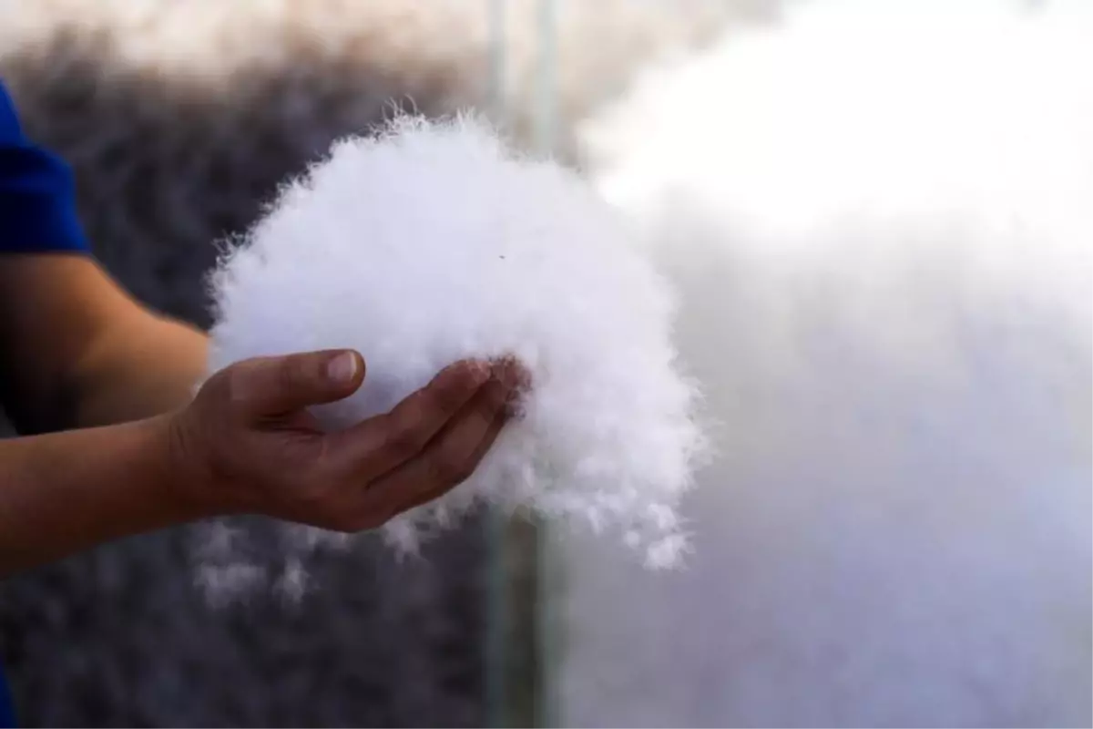 Çin\'in Kaz Tüyü Merkezi: Gangnan