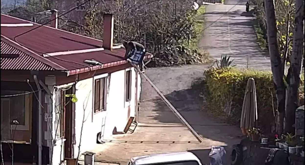 Muhtar Çatıdan Düşüp Yaralandı