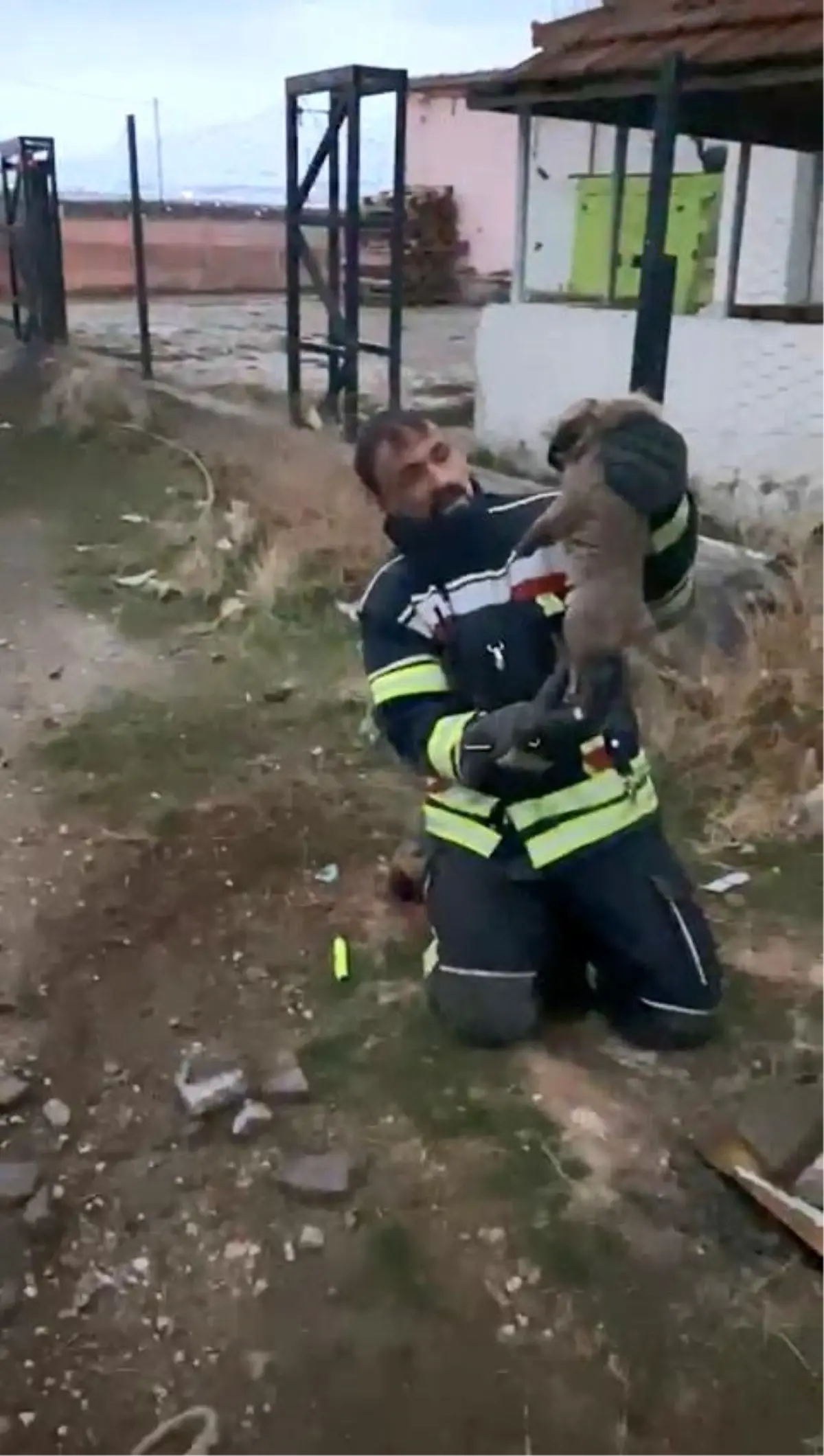 Elazığ\'da Yavru Köpekler Lağım Çukurundan Kurtarıldı