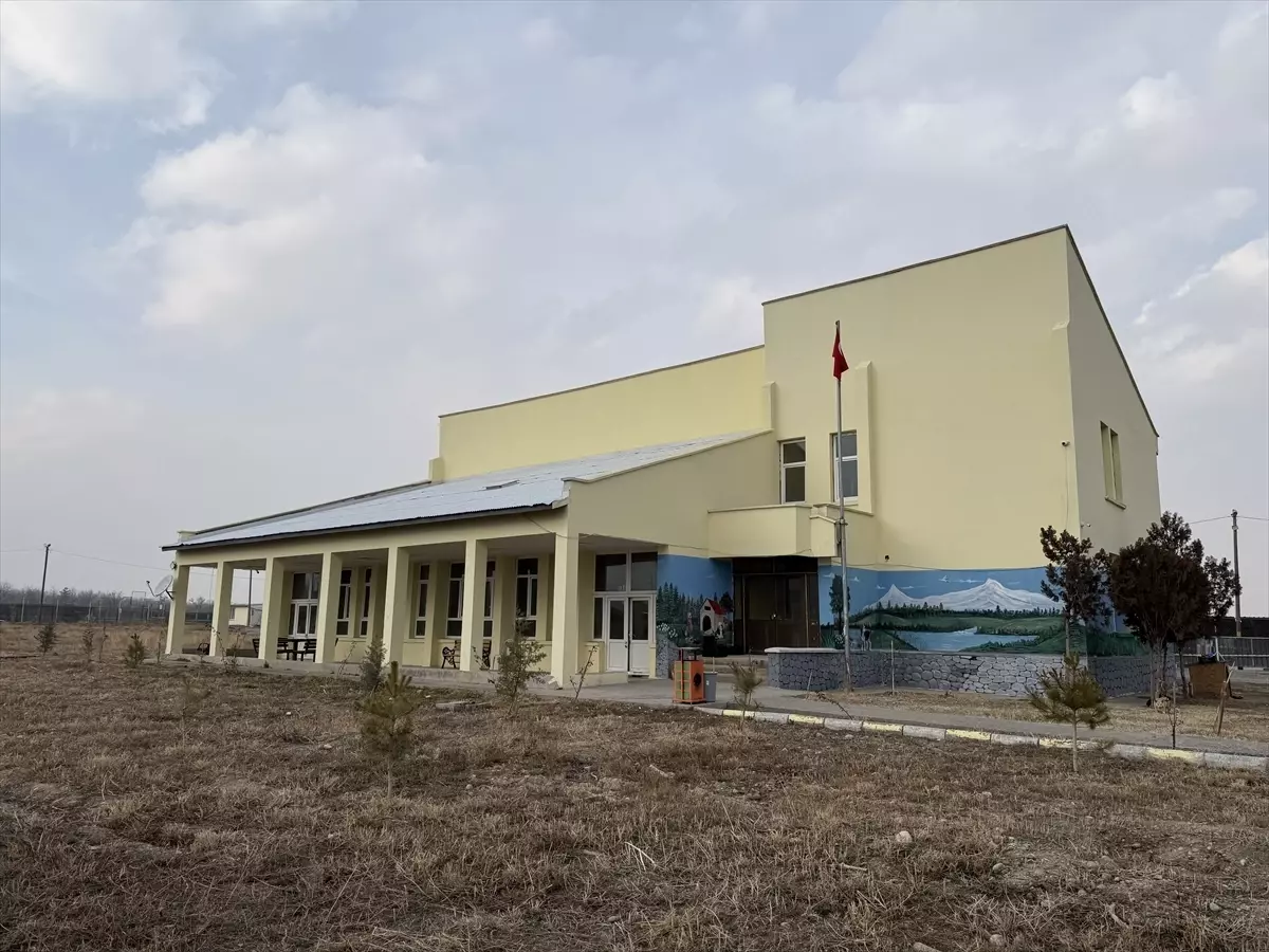 Iğdır\'da Sahipsiz Köpek Sorunu Çözüldü