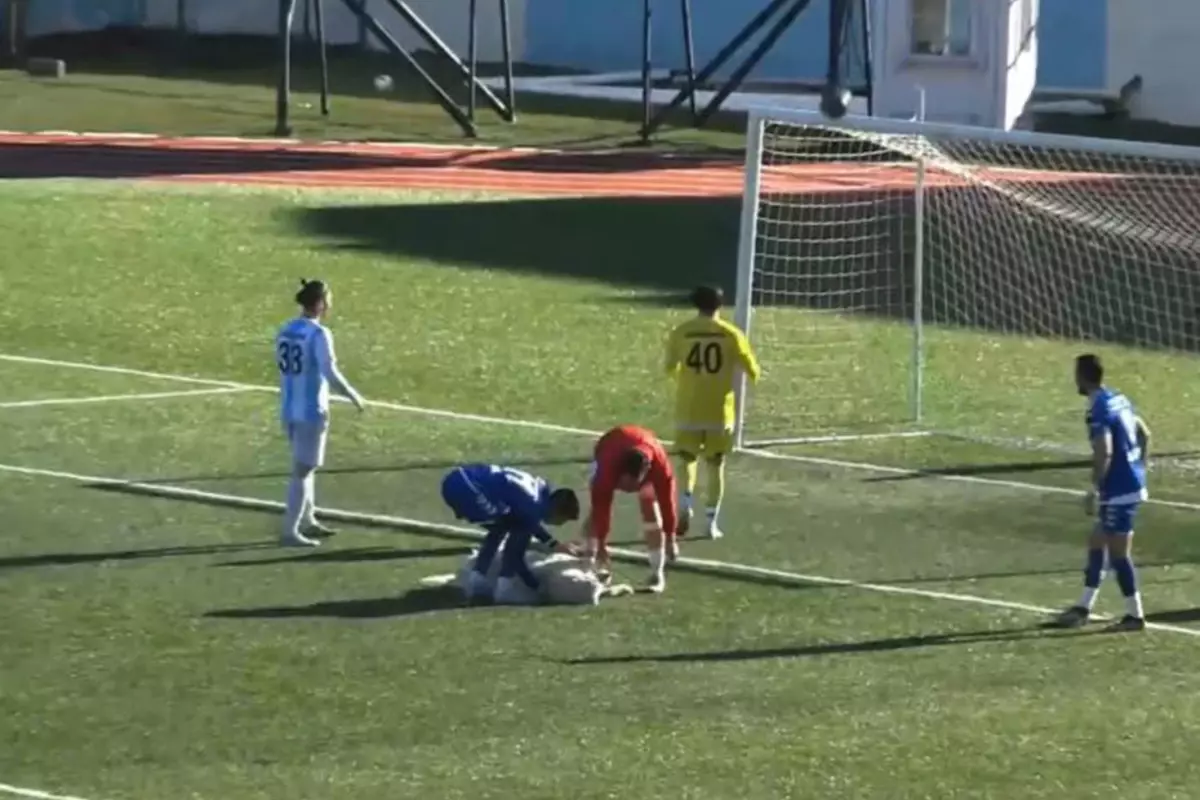 Maçta sahaya giren köpeğin yaptığı şey görenleri güldürdü