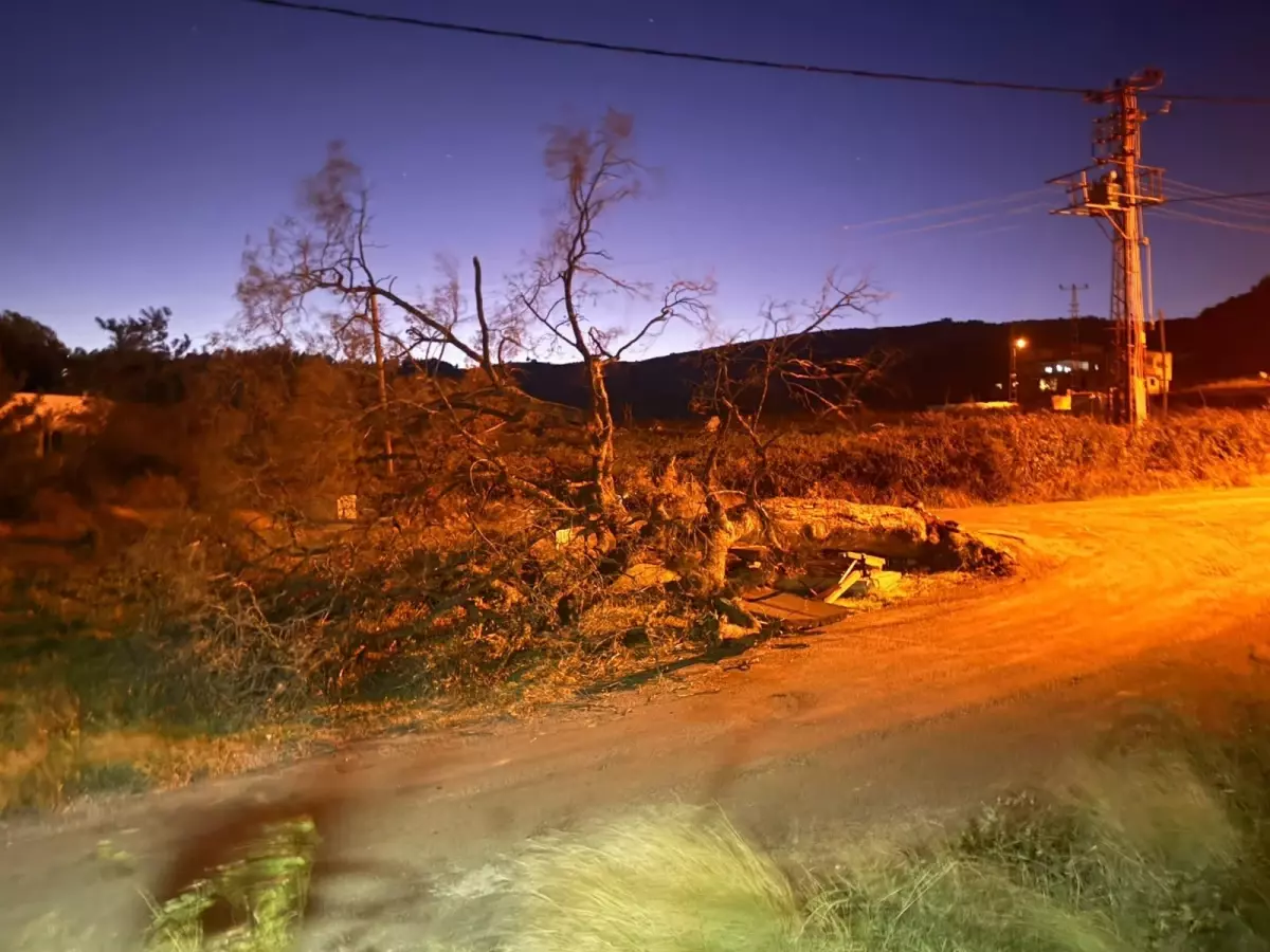 Mersin\'de Şiddetli Rüzgar Zarara Yol Açtı