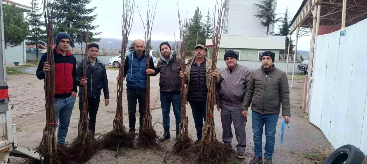 "Meyveciliği Geliştirme" projesi Pazaryeri\'nde hayata geçti