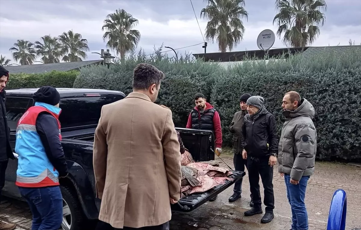 Sinop\'ta Kaçak Kalkan Balığı Dağıtımı