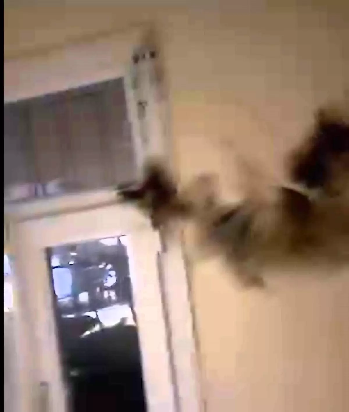 Şırnak\'ta Yıldırım Düşen Apartmanda Hasar Oluştu