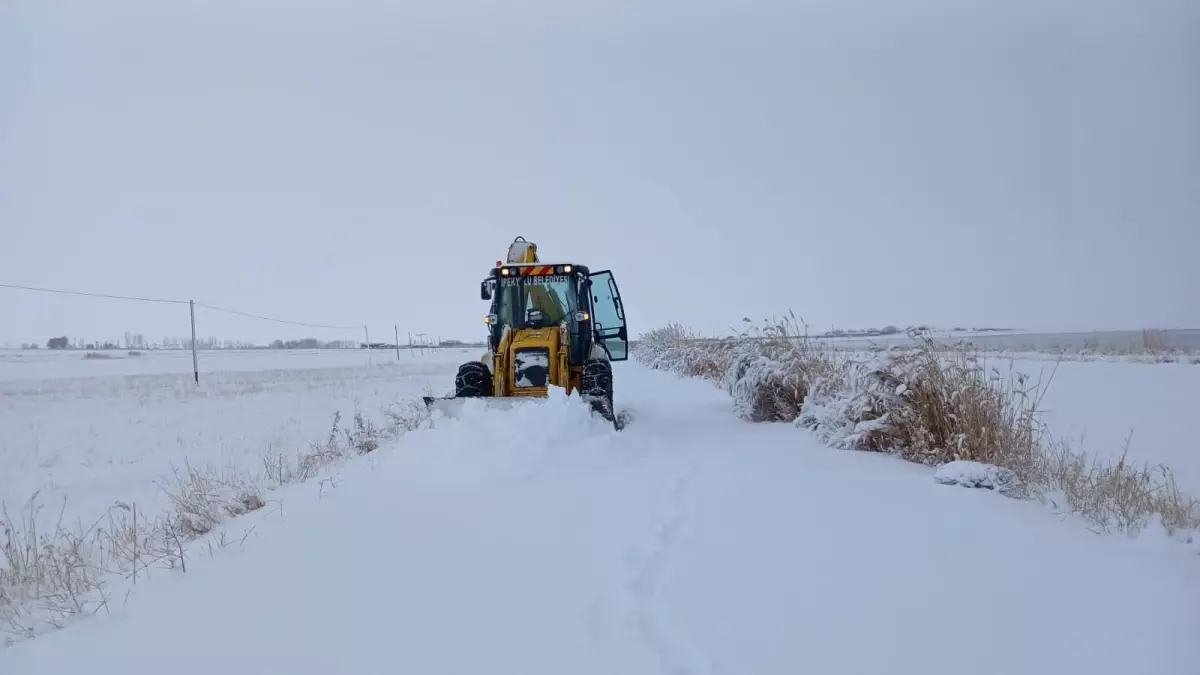 Karla Mücadele: Hastalar Hastanelere Ulaştı