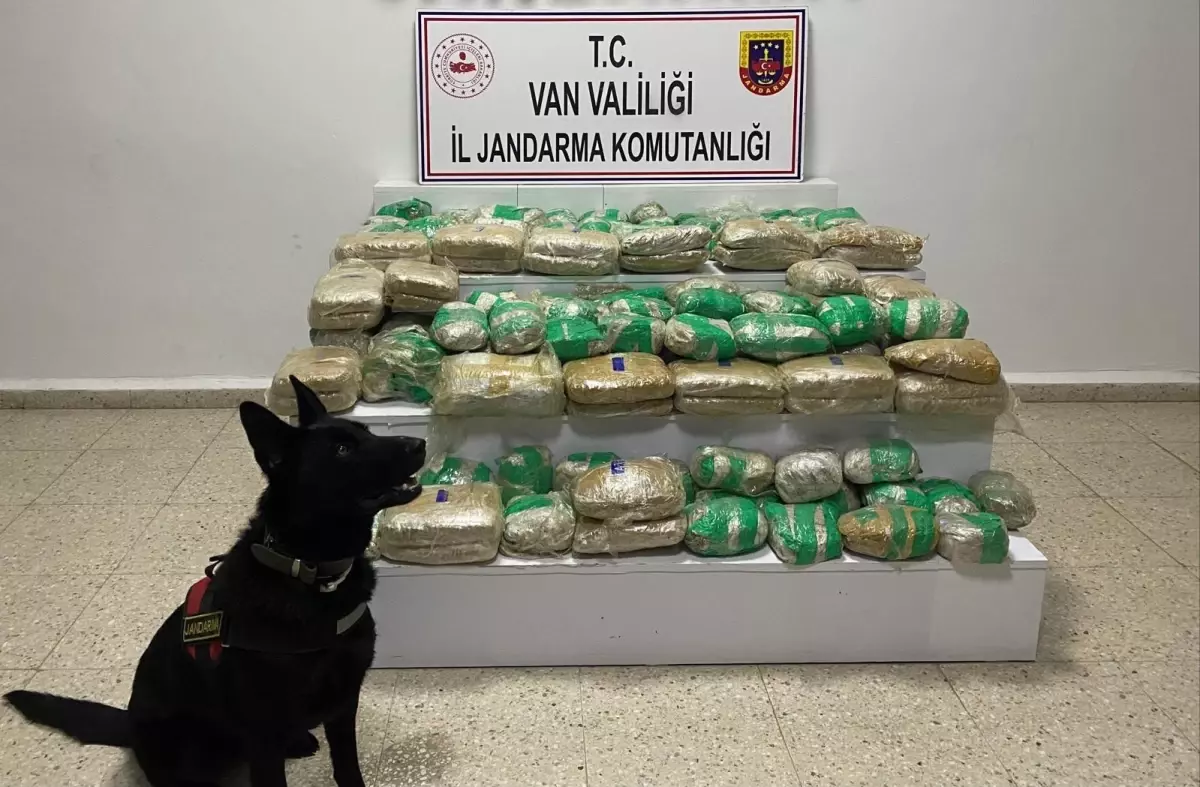 Başkale\'de 51 Kilo Skunk Ele Geçirildi