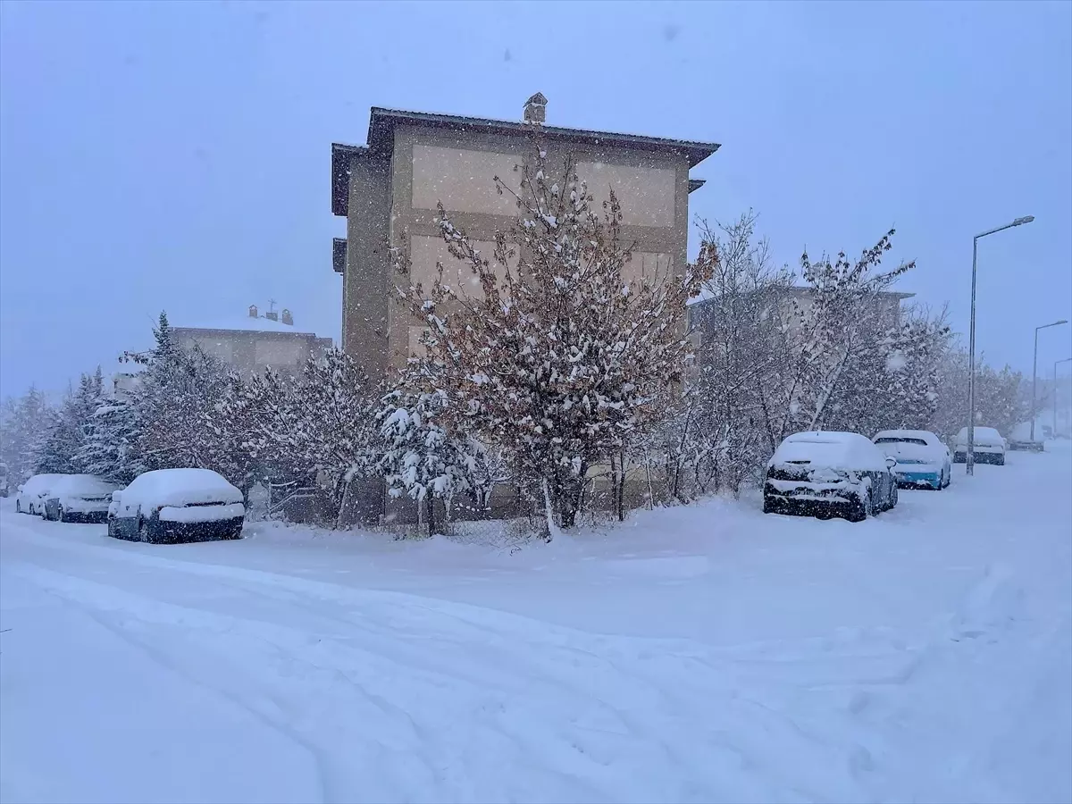 Kar Yağışı Ulaşımı Engelliyor