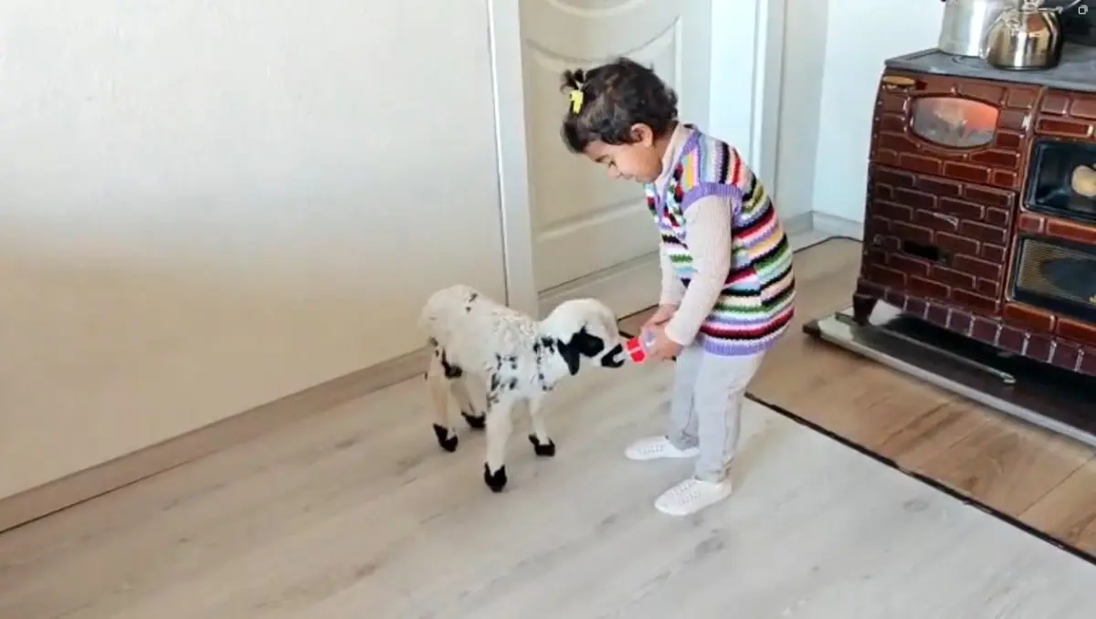 Ezo ve Pırıl\'ın Dostluğu