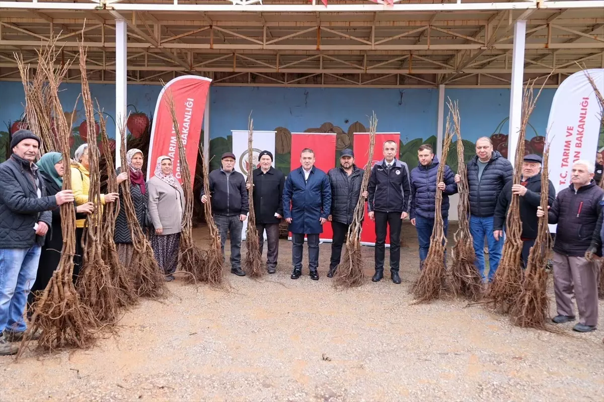 Bilecik\'te Fidan Dağıtımı Gerçekleşti