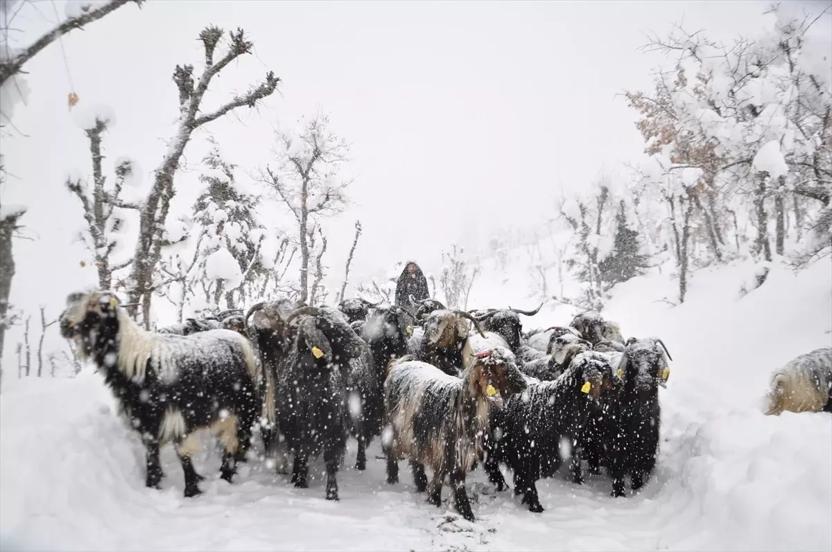Kar Mahsur Kalan Besicilere Yardım