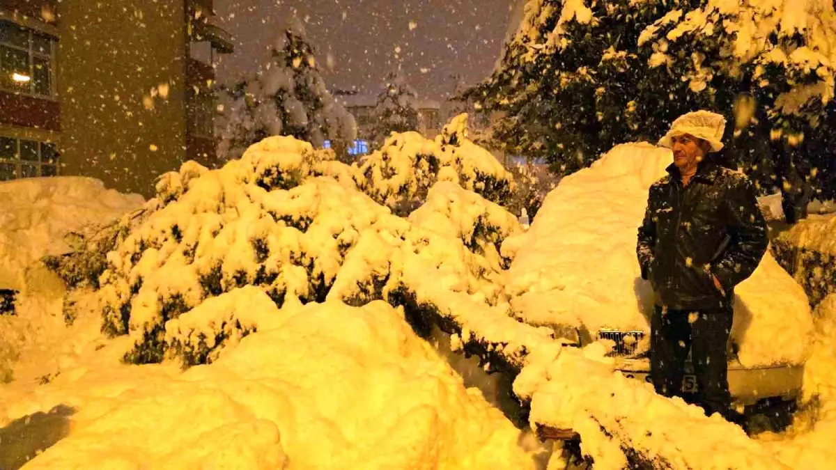 Çam ağacı park halindeki iki aracın üzerine devrildi