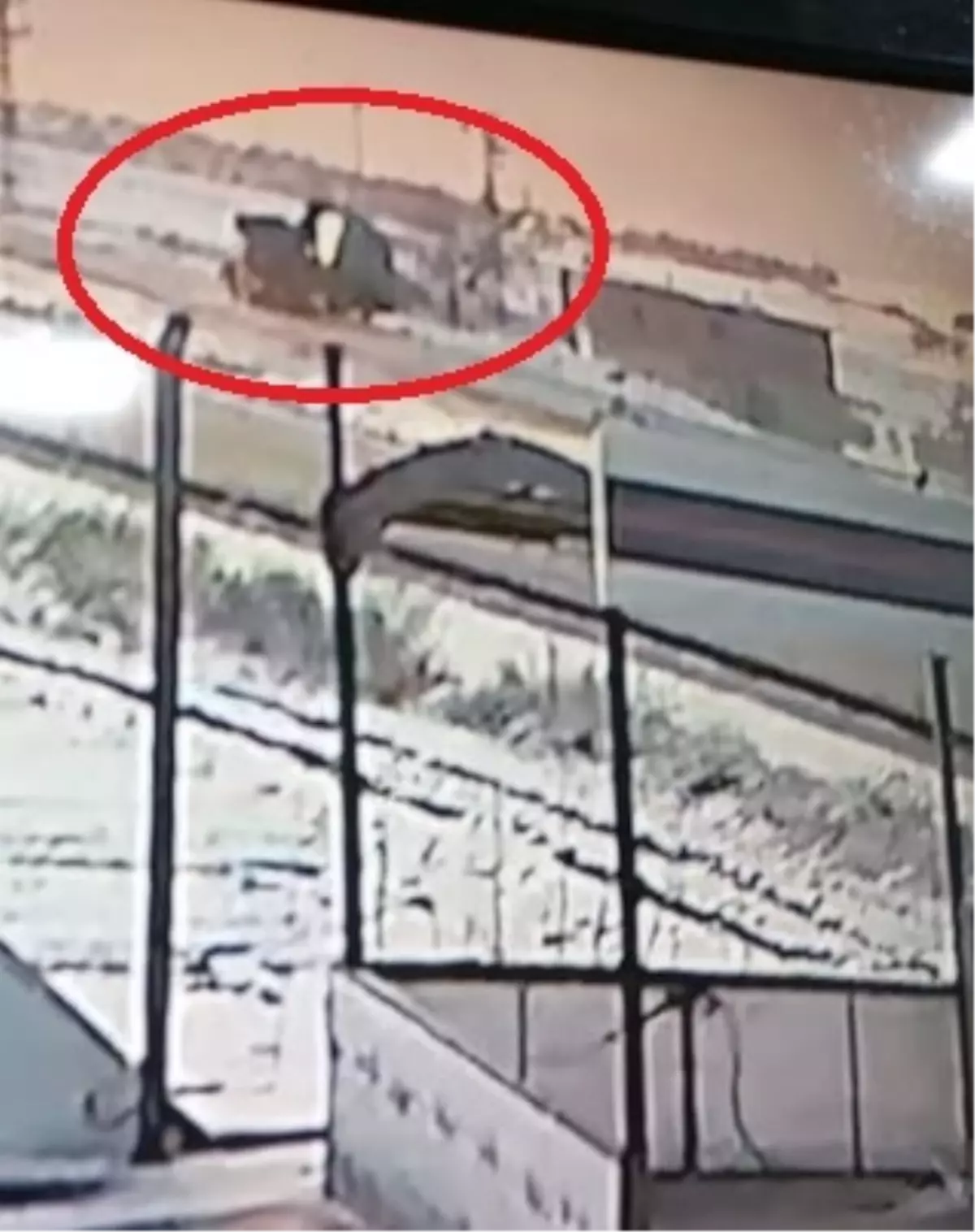 Nevşehir\'de TIR Kar Yağışında Devrildi