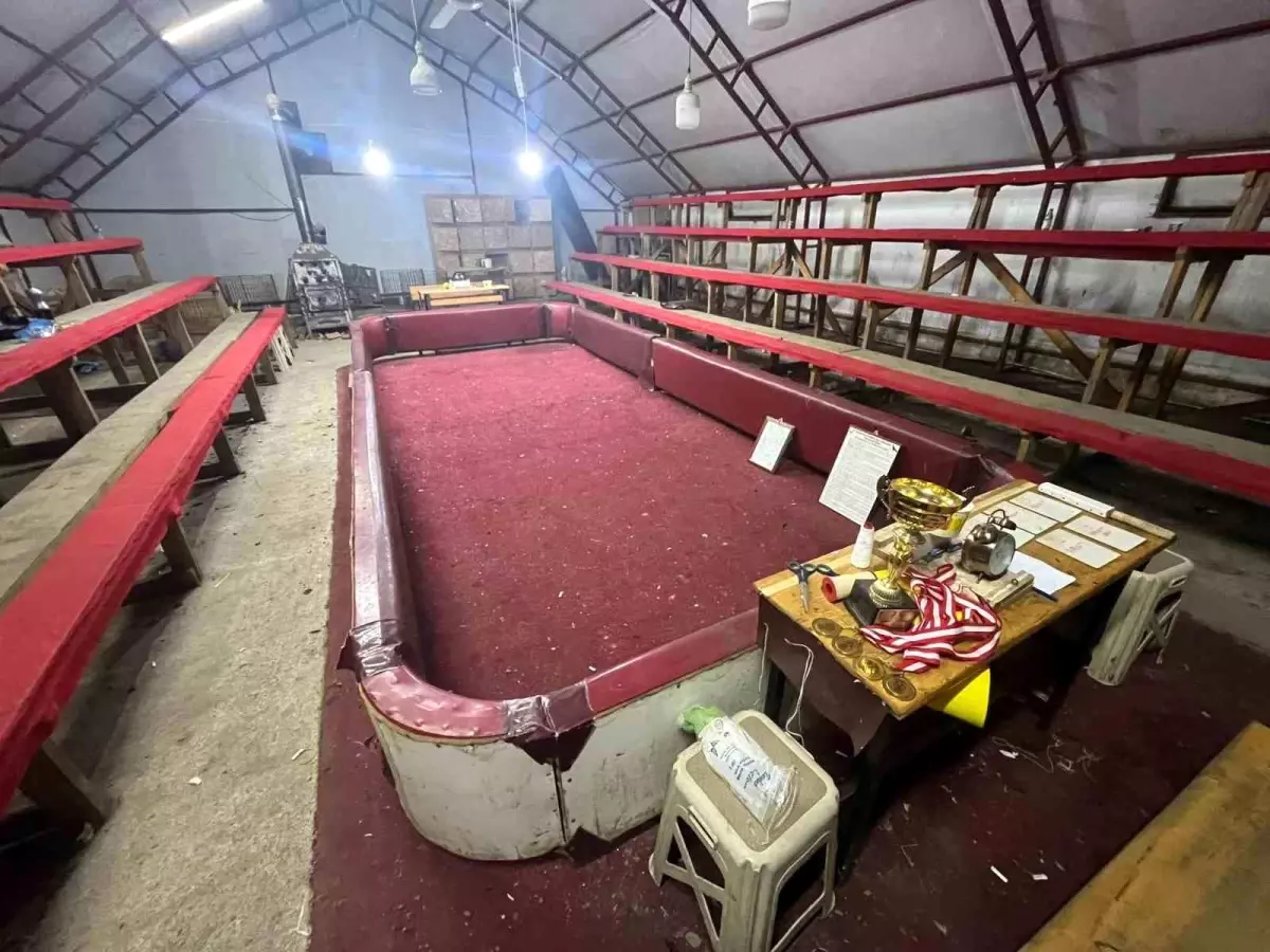 Kocaali\'de Horoz Dövüşüne Ceza