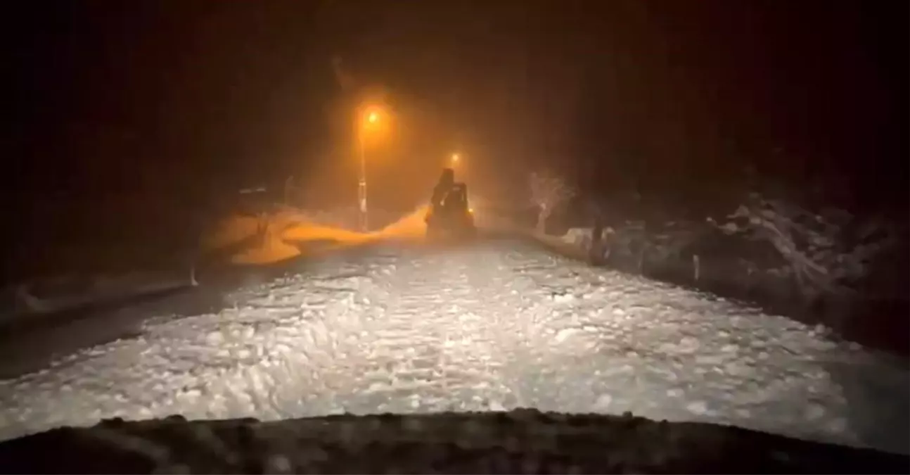 Siirt\'te 251 Köy Yolu Kapandı