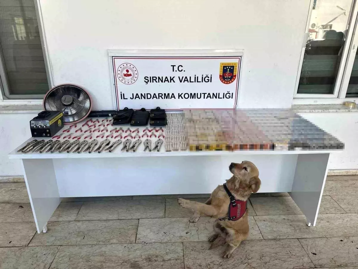 Şırnak\'ta Kaçakçılığa Dev Operasyon