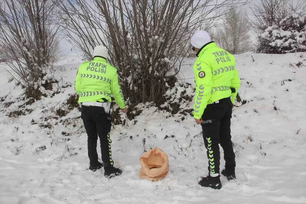 Zara\'da Yaban Hayvanlarına Yem Desteği