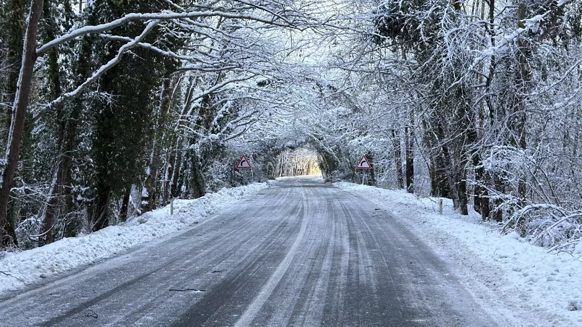 Karabük-Bartın Yolundaki Ağaç Tüneli Bembeyaz