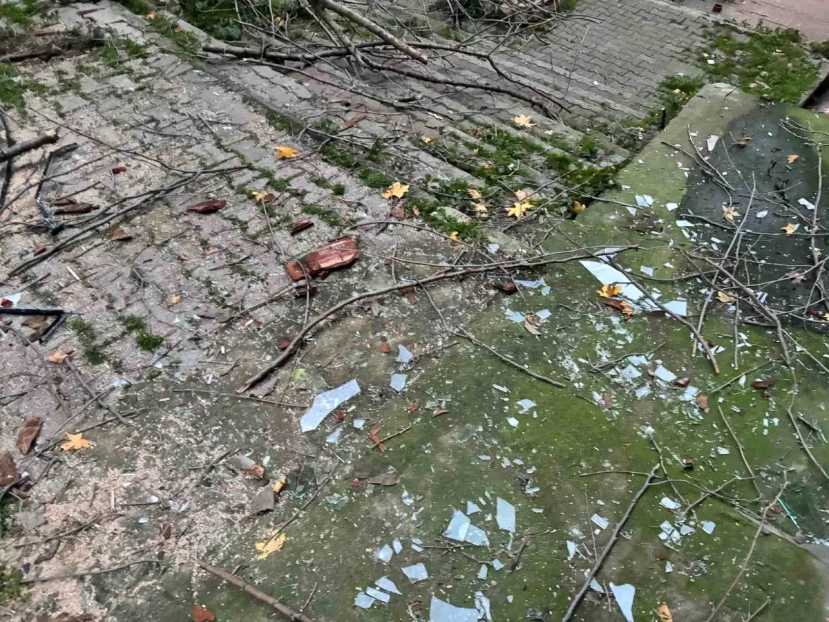 Beyoğlu\'nda Şiddetli Rüzgar Ağaç Dallarını Devrildi