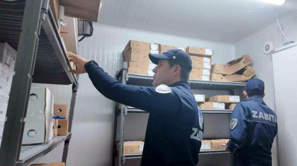 Bodrum\'da halk sağlığı için sıkı denetim