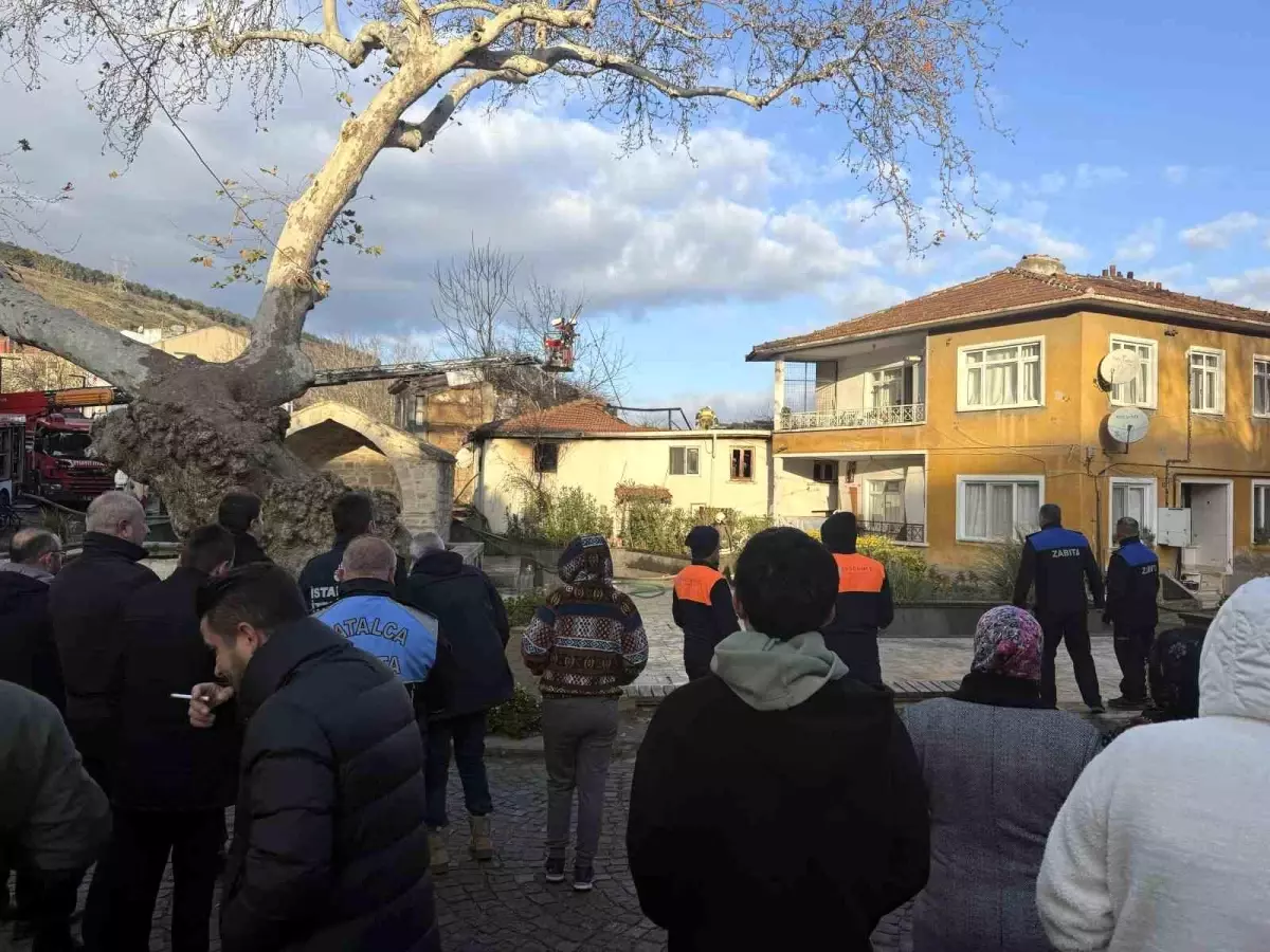 Çatalca\'da Yangın Paniği