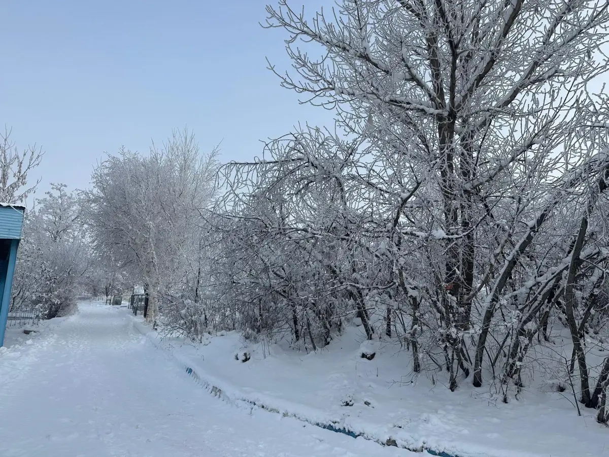 Ağrı’da Soğuk Rekoru: Eksi 19,1 Derece