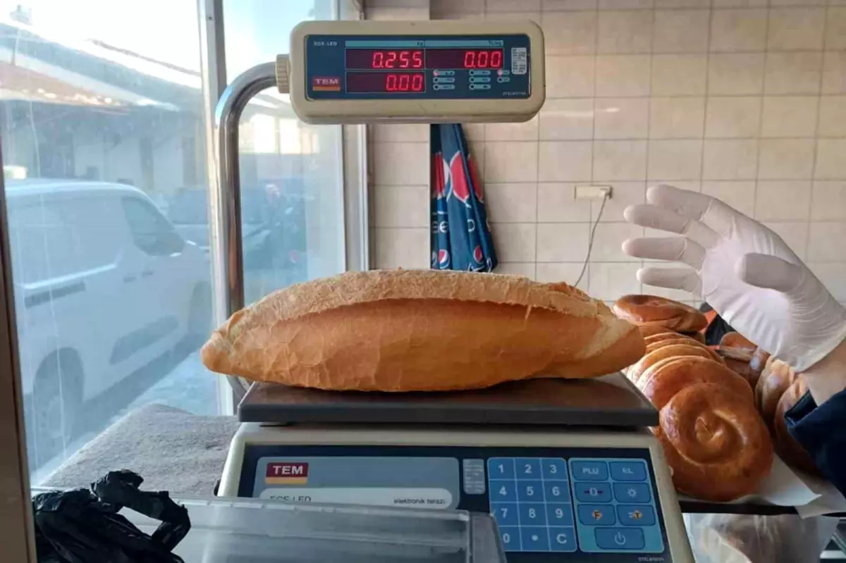 Erzincan\'da fırın ve unlu mamul işletmelerine denetim