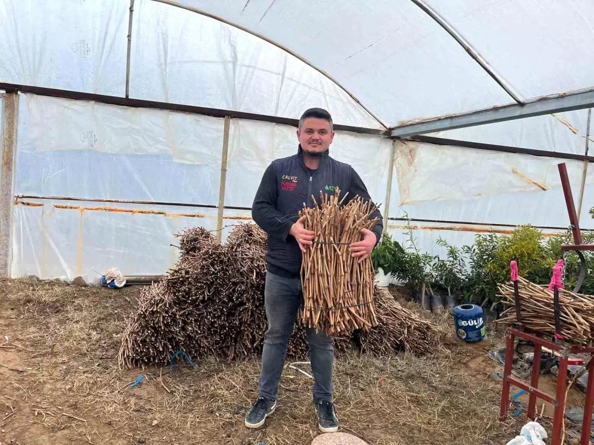 Genç Girişimcilerden Fidan Üretiminde Başarı