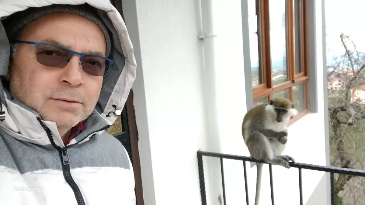 Giresun\'da Kaçan Maymun, Evdeki Adamla Oynadı