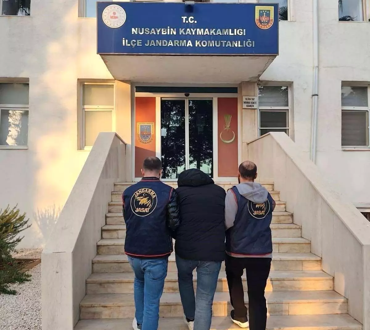 Muz ve Salatalıkla Dolandırıcılık