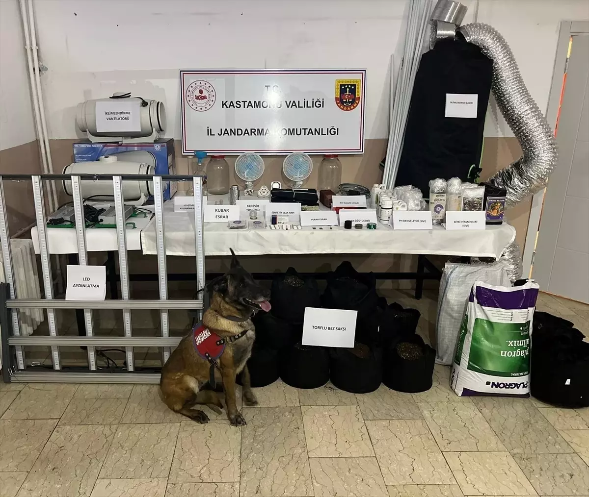 Kastamonu\'da Uyuşturucu Operasyonu: 6 Gözaltı